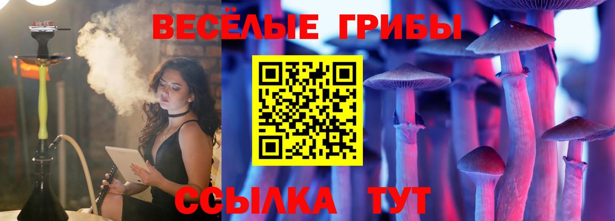 Галлюциногенные грибы мицелий  где найти   Миасс  Вход с VPN 